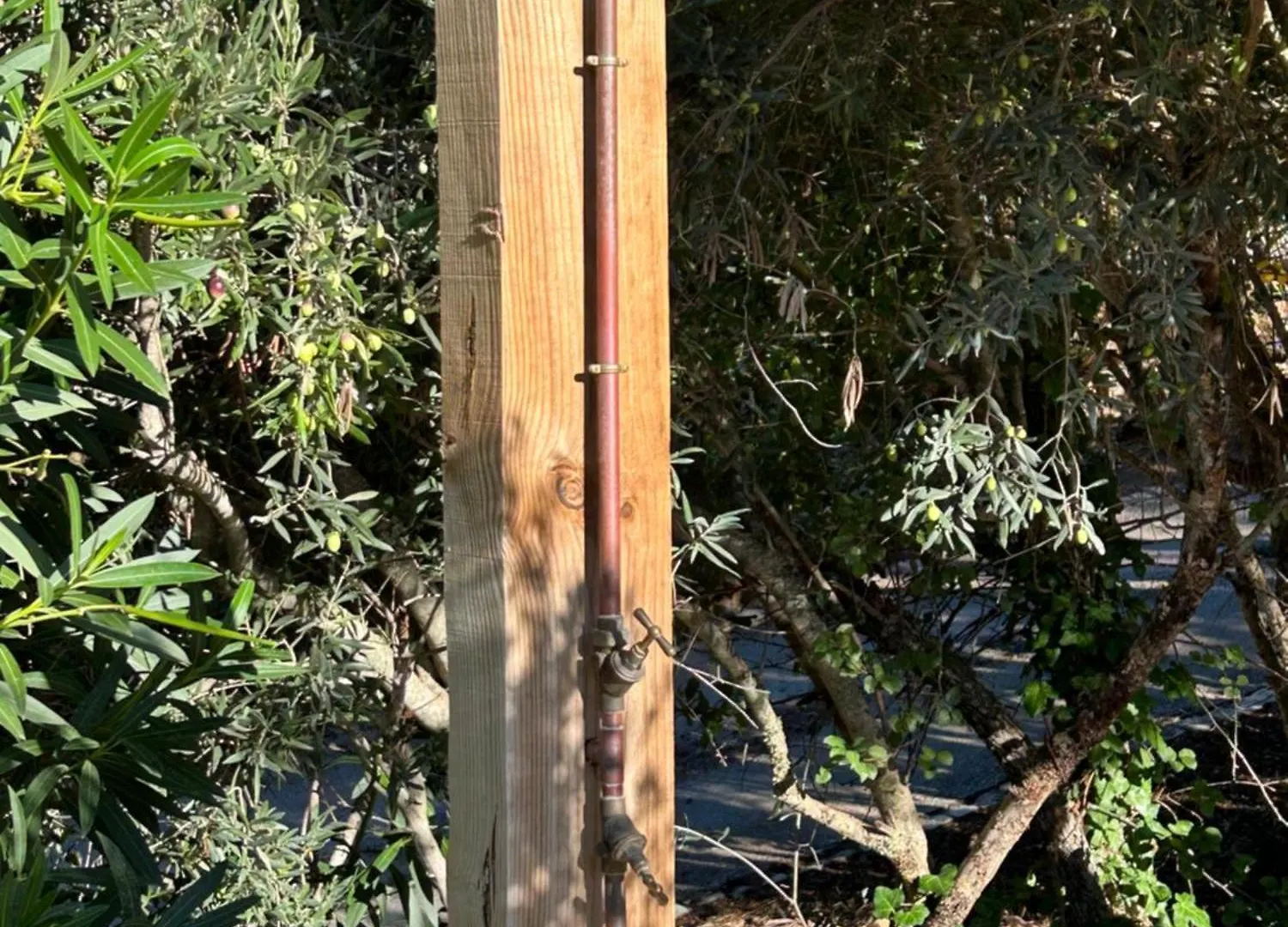 Quinta Da Cortica Βίλα São Brás de Alportel Σπίτι διακοπών